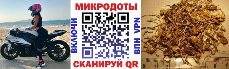 как найти   Сасово  Псилоцибиновые грибы GOLDEN TEACHER 